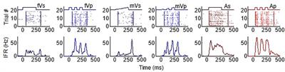 Pulsed Stimuli Elicit More Robust Multisensory Enhancement than Expected